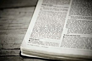 lightstock_470_xsmall_user_2287315